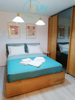 Lily Boutique Apartment